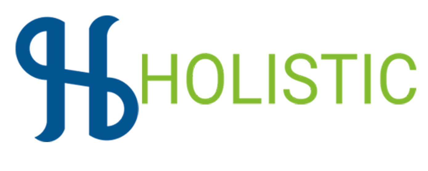 HOLISTIC TECHNO ENGINEERS PVT LTD
